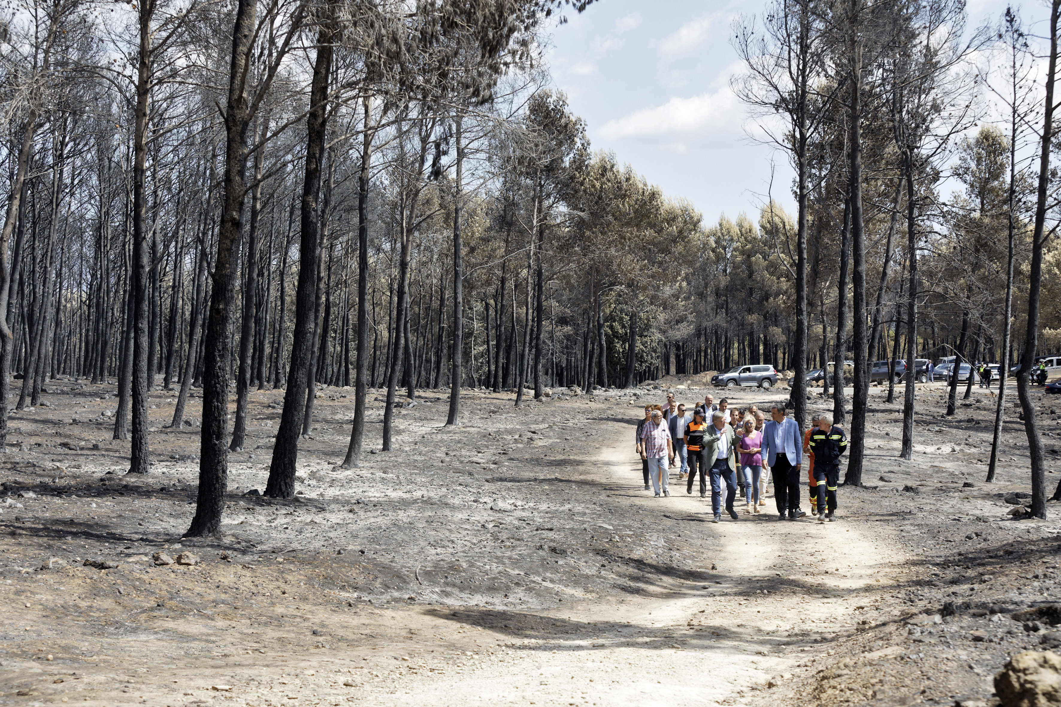 Pinos calcinados y un suelo negro, marco de la visita de Sánchez al incendio de Bejís