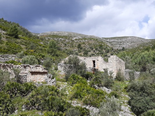 Un primer pas per a la recuperació dels espais cremats: escoltar i estimar 
