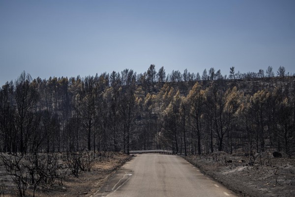 Emergencias pide no ir a hacerse fotos a las zonas quemadas de Bejís y Vall d'Ebo: 