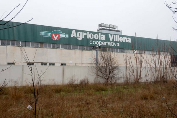 CCOO anuncia un conflicto colectivo en Agrícola Villena por la supresión de los estiramientos