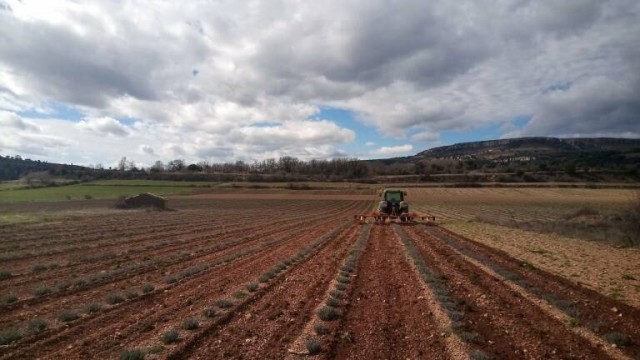  La previsible crisi alimentària, focus de debat de les sisenes Jornades de la Nova Ruralitat