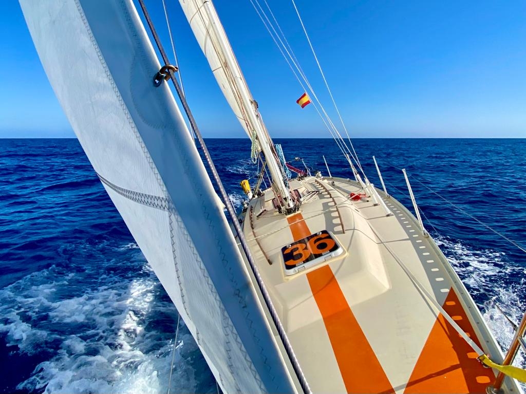 El Role: Las mil peripecias de Aleix Sellés para llegar a la salida de la Golden Globe Race