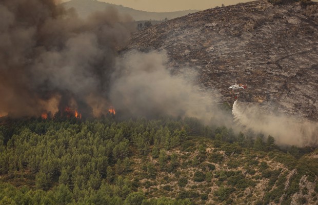 Las lágrimas de cocodrilo no apagan incendios
