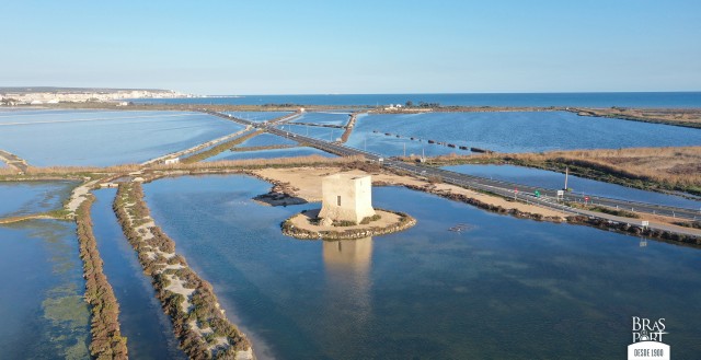 Sal sostenible en Santa Pola: la centenaria Bras del Port instala un autoconsumo de 300 kw