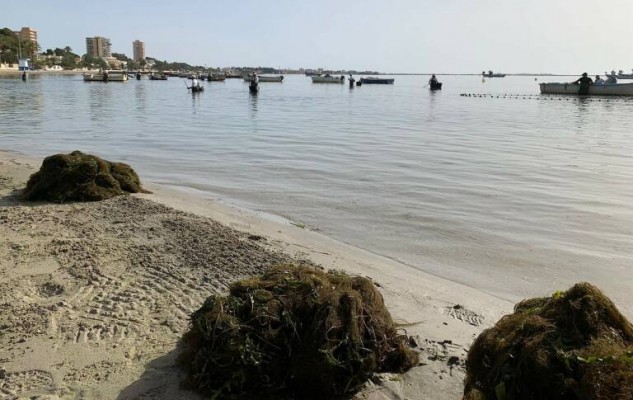 El Mar Menor respira sin problemas, pero 