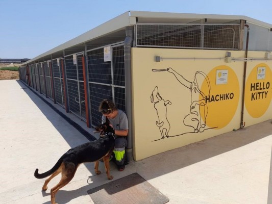 El Girona dona 300 kilos de alimento al refugio de animales de Paterna 