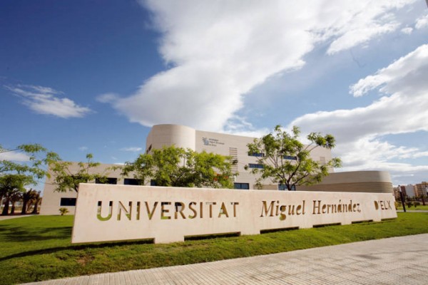 La Universidad Miguel Hernández de Elche entra en el ranking de Shanghai