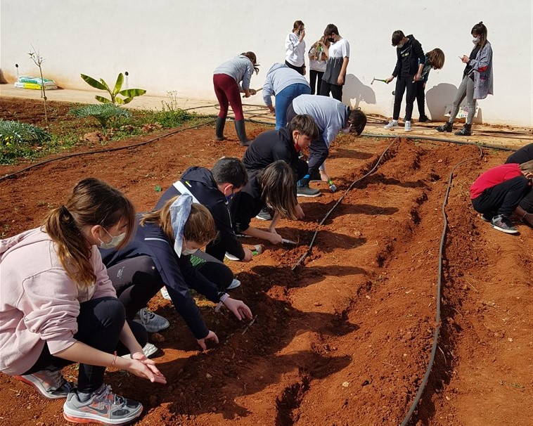 Almassora forma a casi 1.900 estudiantes en agricultura ecológica
