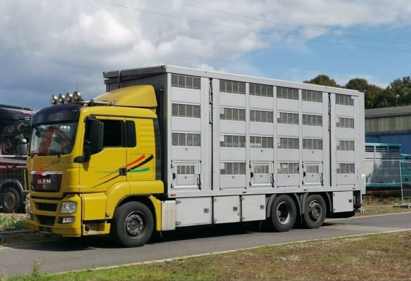 El transporte ahorra 560.000 euros por la exención de tasas en la Comunidad