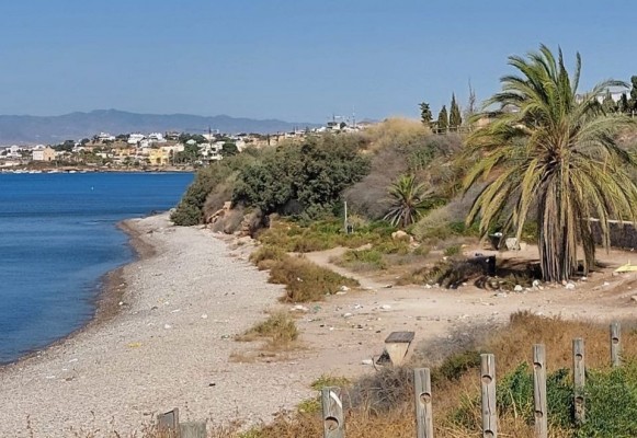 MC denuncia que la playa La Calera, en Isla Plana, la única canina en el municipio, se ha convertido en un 