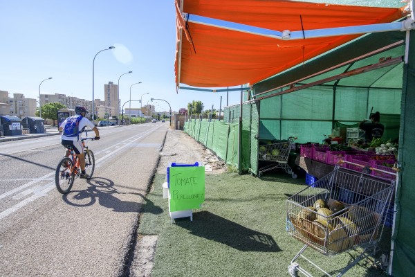 Veranete en el Pere
