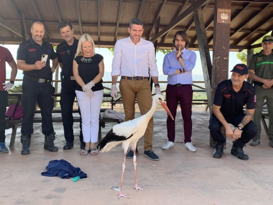 Liberan a una cigüeña blanca tras ser tratada en el Centro de Recuperación de Fauna Silvestre de El Valle