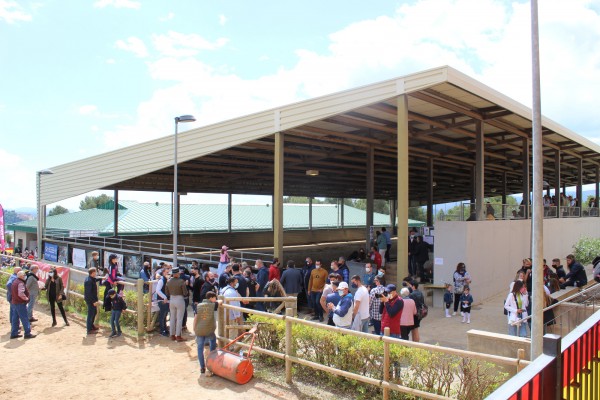 Segorbe saca a concurso su Centro Hípico para reabrirlo