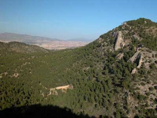 Terremoto de 2,4 grados en Fortuna