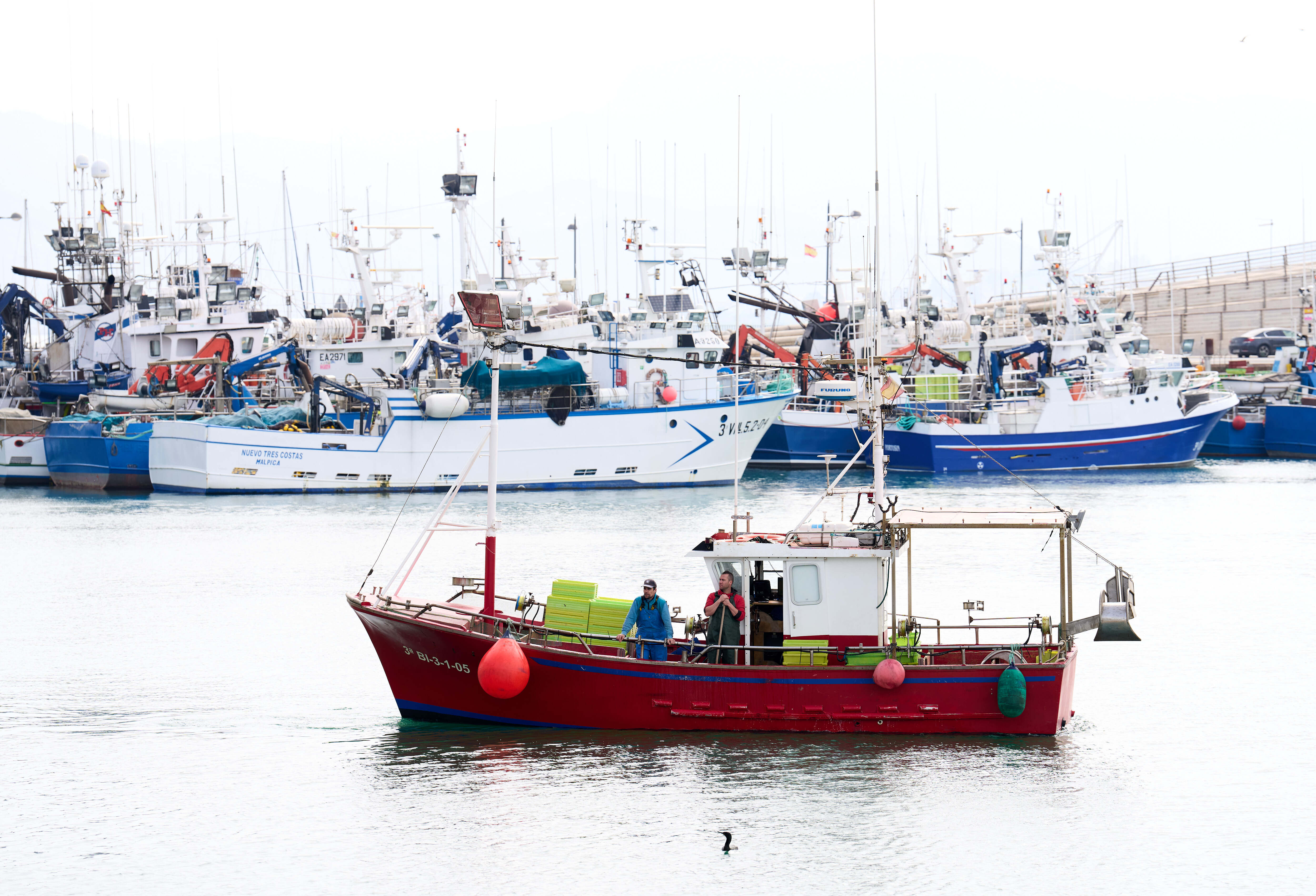El calentamiento del mar reduce la pesca y elevará el gasto de la flota en gasóleo