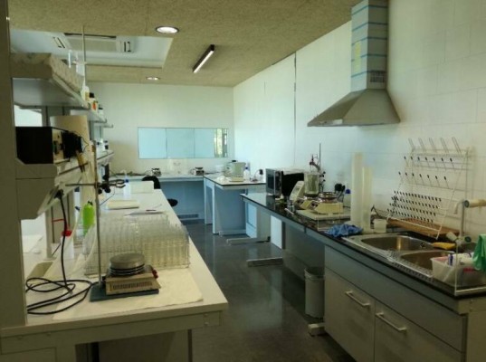 Elche finiquita el proyecto del Instituto de la Palmera e incauta 50.000 euros de fianza de la contratista