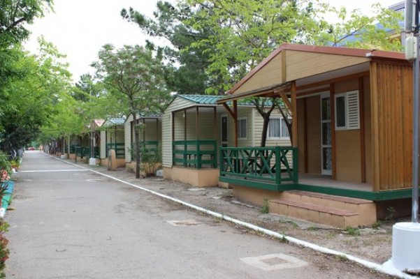 Hermanos Martín proyectan en la Vila su primer camping en la Costa Blanca, el quinto de la Comunitat