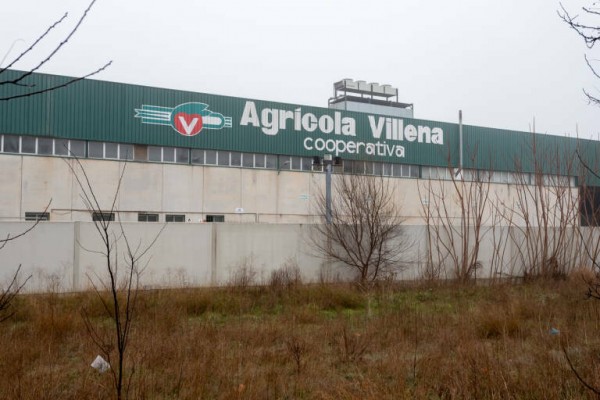 La compra de Agrícola Villena se cierra con 30 despidos y dos comisiones de seguimiento