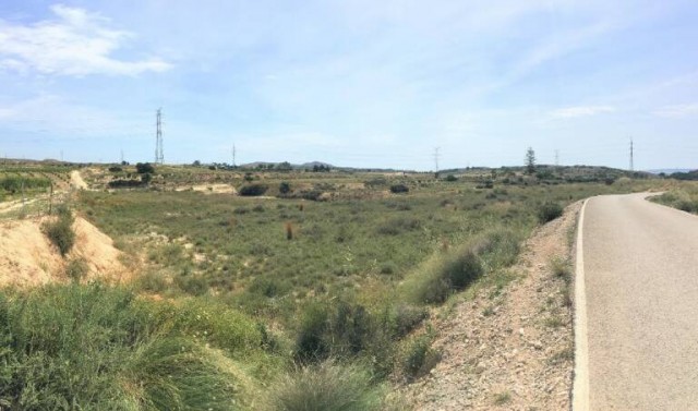 La conselleria de Economia autoriza otras dos solares en Elche: 9,2 MW en Salades por 5 millones de euros
