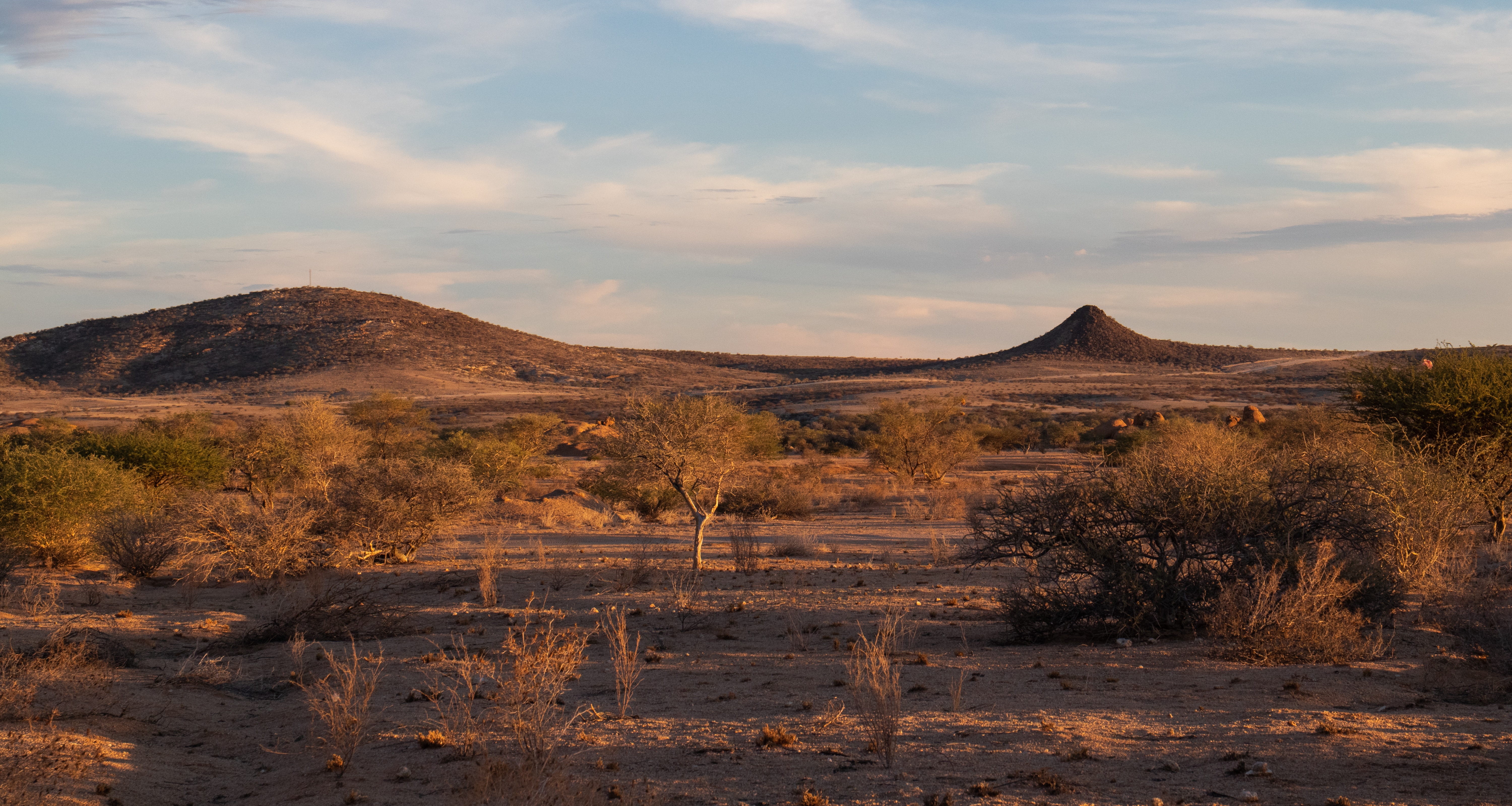Namibia, Arabia Saudí y Palaos ya apuestan por el turismo sostenible
