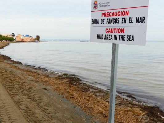 El 'singular' reto que afrontan Tecnoambiente y McValerna para decidir la manera de retirar secos y fangos del Mar Menor