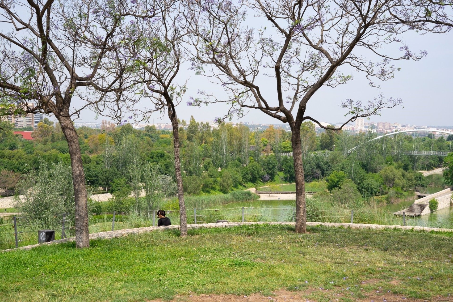 Foto: AYUNTAMIENTO DE VALÈNCIA - 