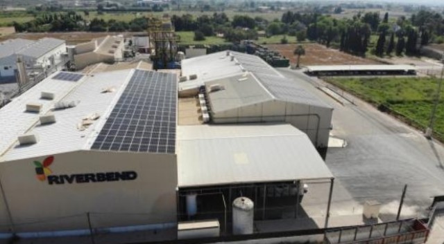La empresa de cítricos Riverbend busca inversores para su gran planta solar en Santomera