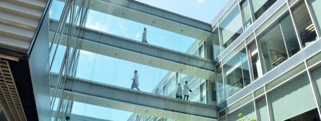 Investigadores de la UPV responden con 28 proyectos a los retos contra la crisis climática