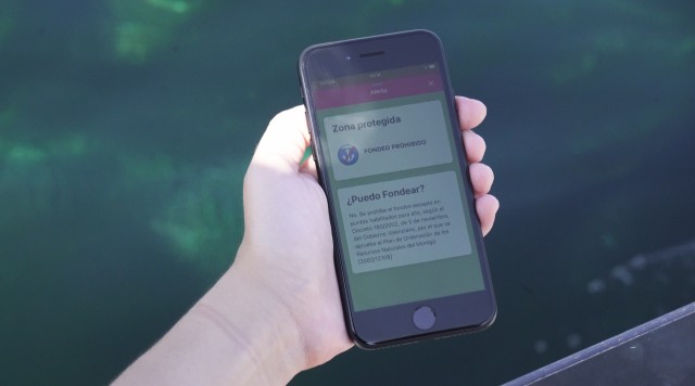 Crean una app para ayudar a los usuarios náuticos a proteger la posidonia en la Marina Alta