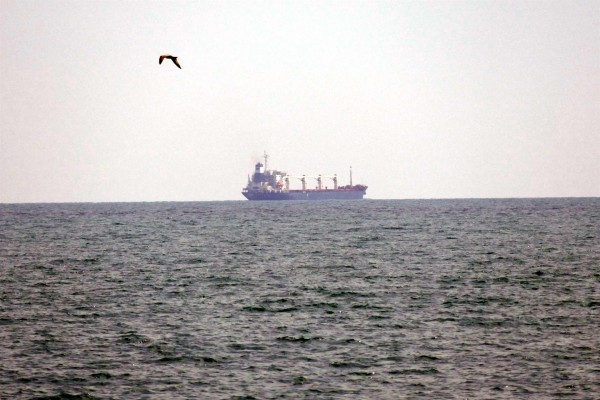 Llega a Turquía el primer barco con cereales procedente de Ucrania