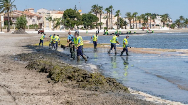 Cartagena desestacionaliza la retirada de algas y el mantenimiento de playas con brigadas hasta 2025