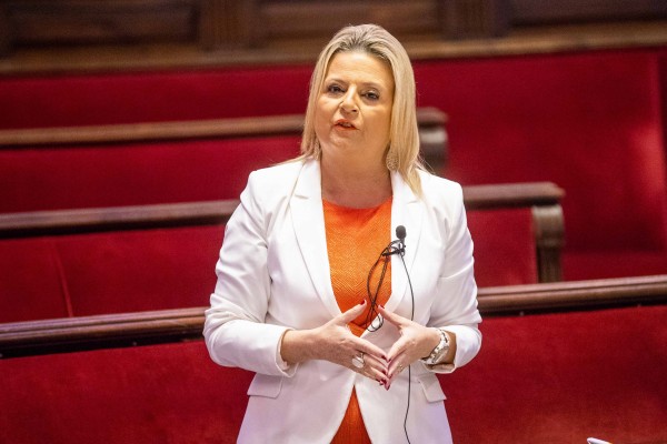 Cs denuncia que el presupuesto para las carrozas de la batalla de flores solo ha subido un 6% 