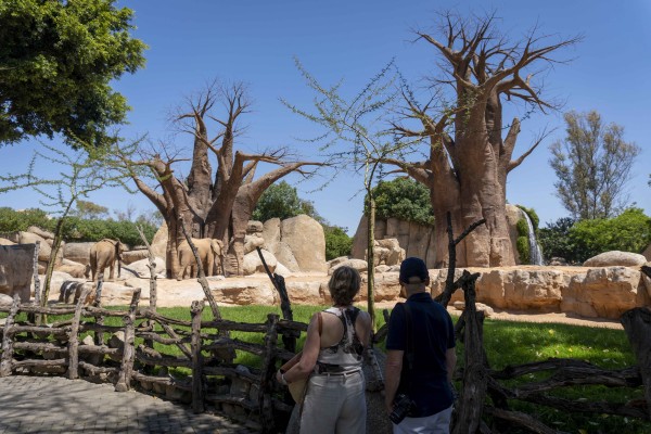 Bioparc Valencia, un oasis verde y azul de 46.000 m2 