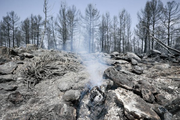 Los incendios, más vale prevenir que apagar