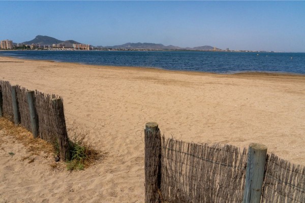 La Lengua de las Vacas en Los Nietos y Los Alemanes en La Manga serán playas caninas 
