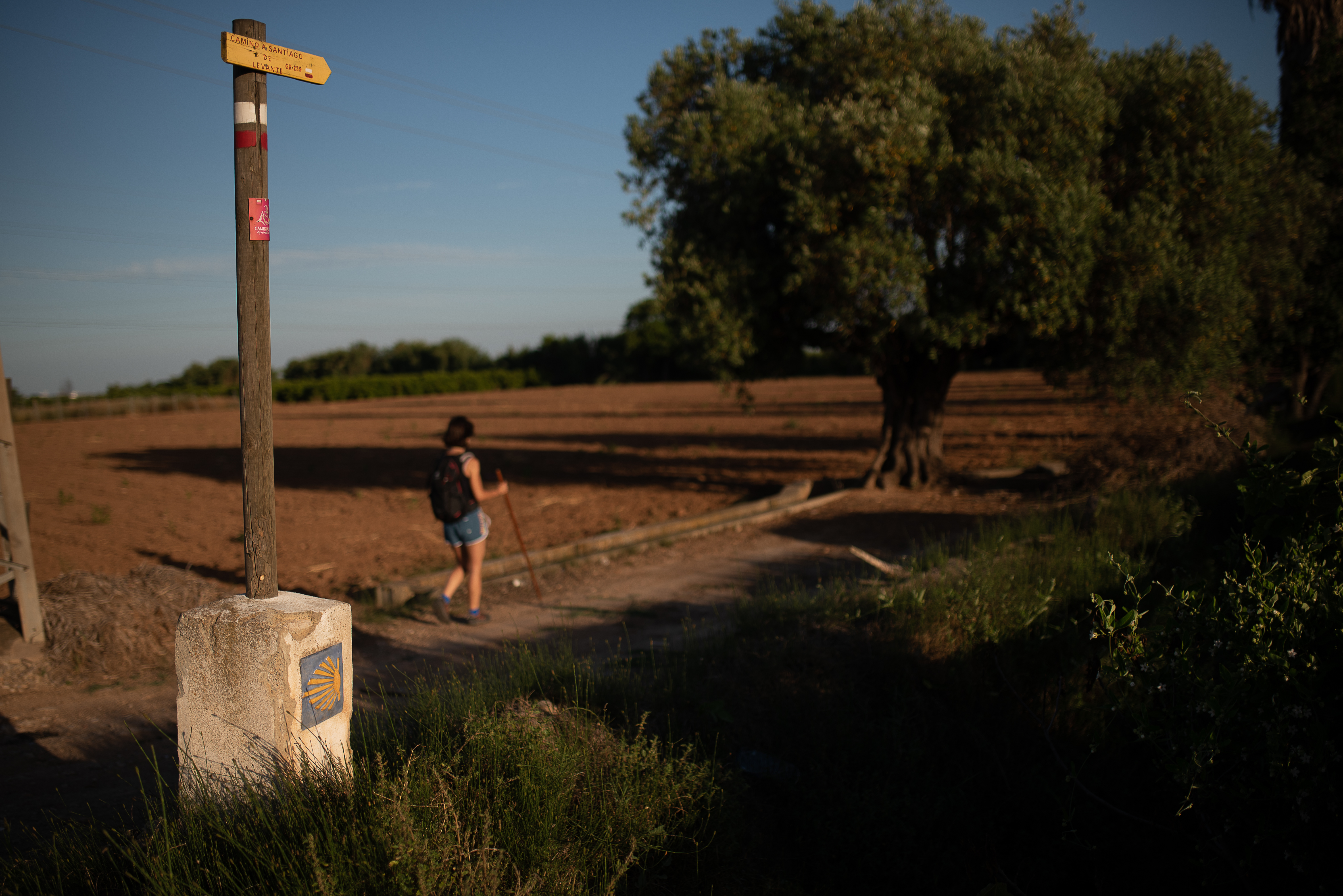 La ruta alternativa 
de los peregrinos
