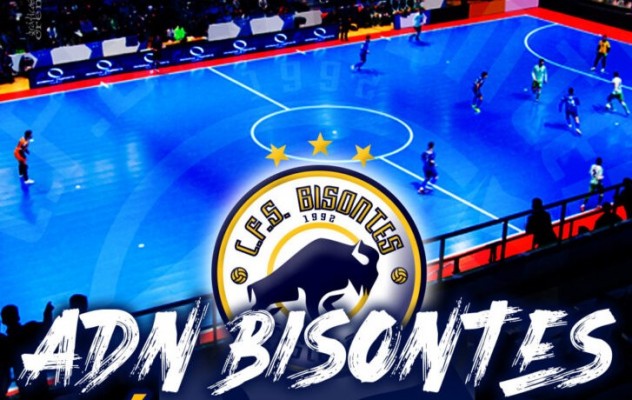 El Bisontes Castellón pone a la venta sus abonos de temporada desde este lunes