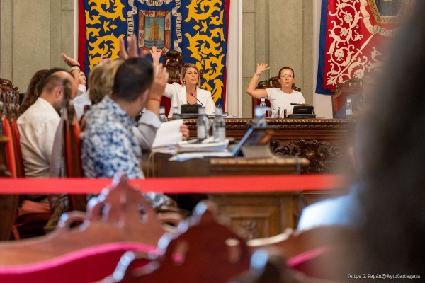 El Pleno pide declarar a El Gorguel proyecto de interés público nacional, a pesar de la oposición de Castejón y sus concejales