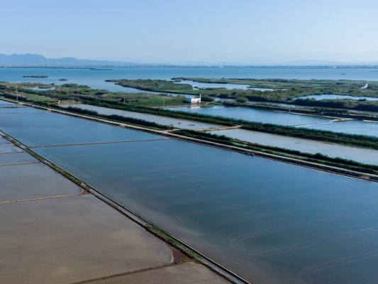 Una vía verde conectará el Puerto de Catarroja y el Tancat de la Pipa
