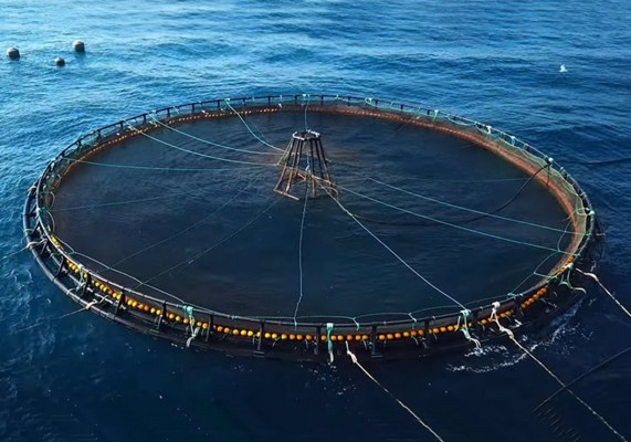 5 proyectos de la UV ayudarán a paliar los efectos del cambio climático sobre el sistema marino 