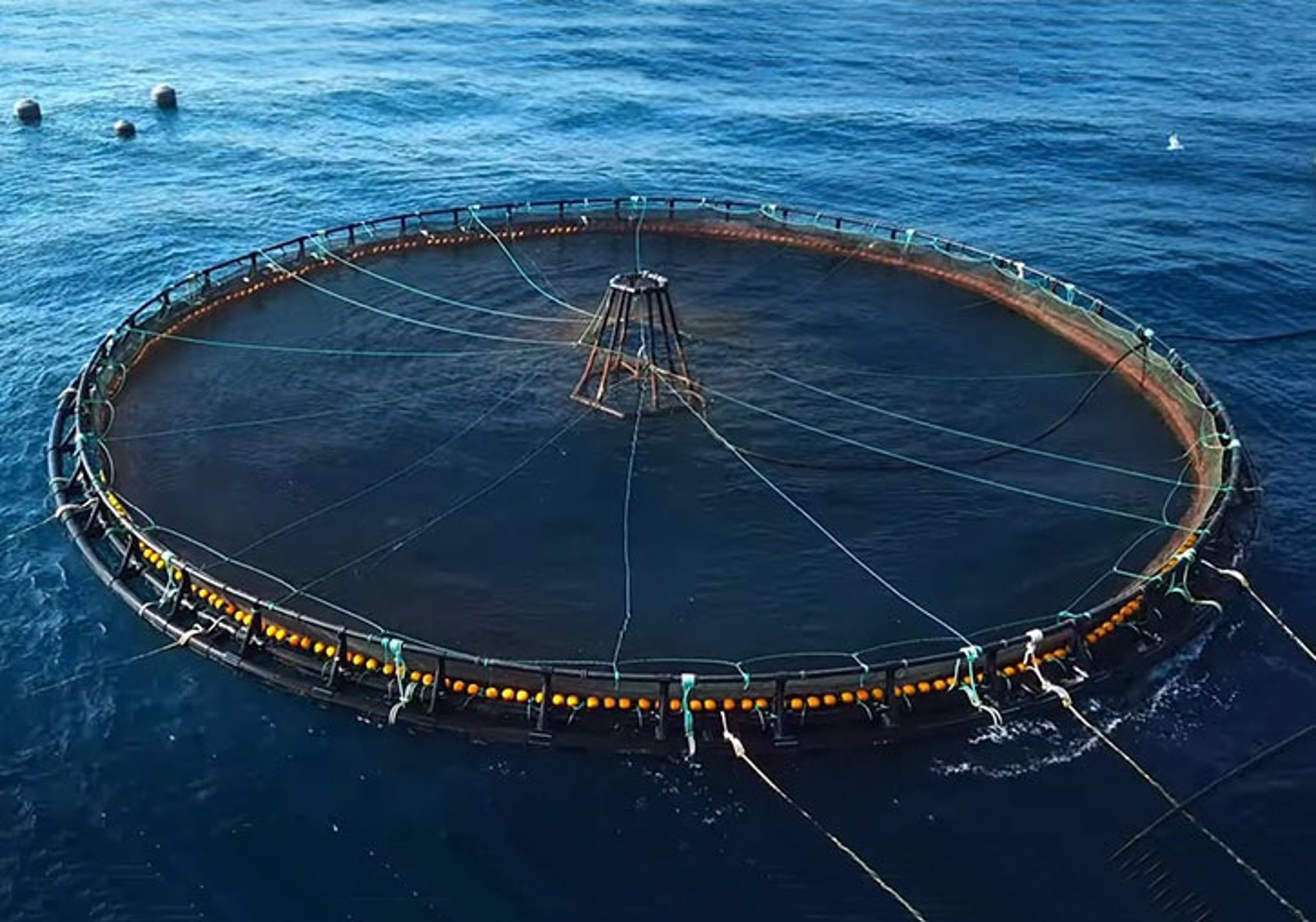 5 proyectos de la UV ayudarán a paliar los efectos del cambio climático sobre el sistema marino 