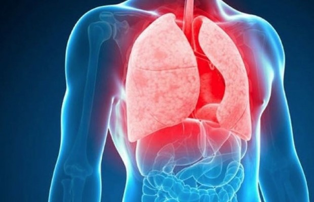 La Comunitat presenta una tasa alta de transmisión de la tuberculosis, según un estudio