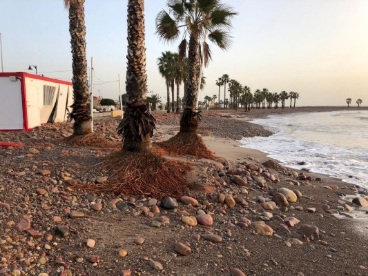  Costas invertirá 3,8 millones de euros en la regeneración del tramo sur del litoral de Xilxes