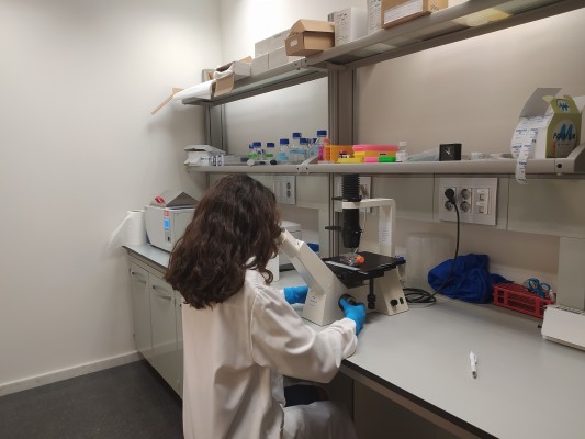 Prospera Biotech lanza un gel que controla el exceso de sudoración por neuromodulación