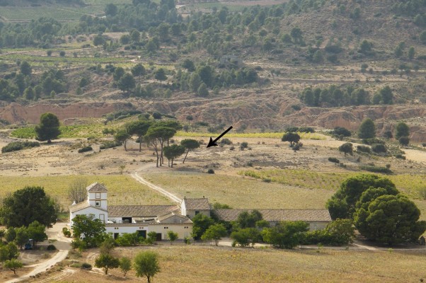 Documentan producción de vino de hace 2.000 años en la Casa de la Cabeza de Requena