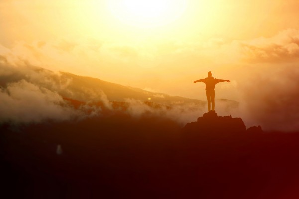 La libertad decae, rebélate