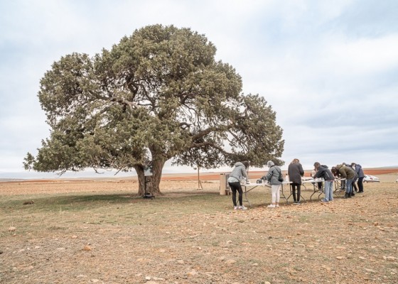 El Consorci de Museus aborda la biodiversidad y la sostenibilidad con el proyecto de Darío Escriche 

