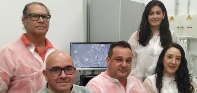 La UMU avanza en implantes dentales más efectivos con el uso de células madres