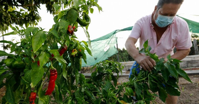 Los regantes del Tajo-Segura se movilizan para visibilizar las trabas al sector agrícola 