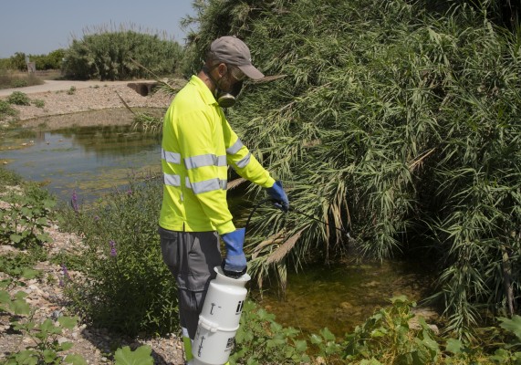 La Diputación ha invertido más de 330.000 euros contra los mosquitos en lo que va de temporada